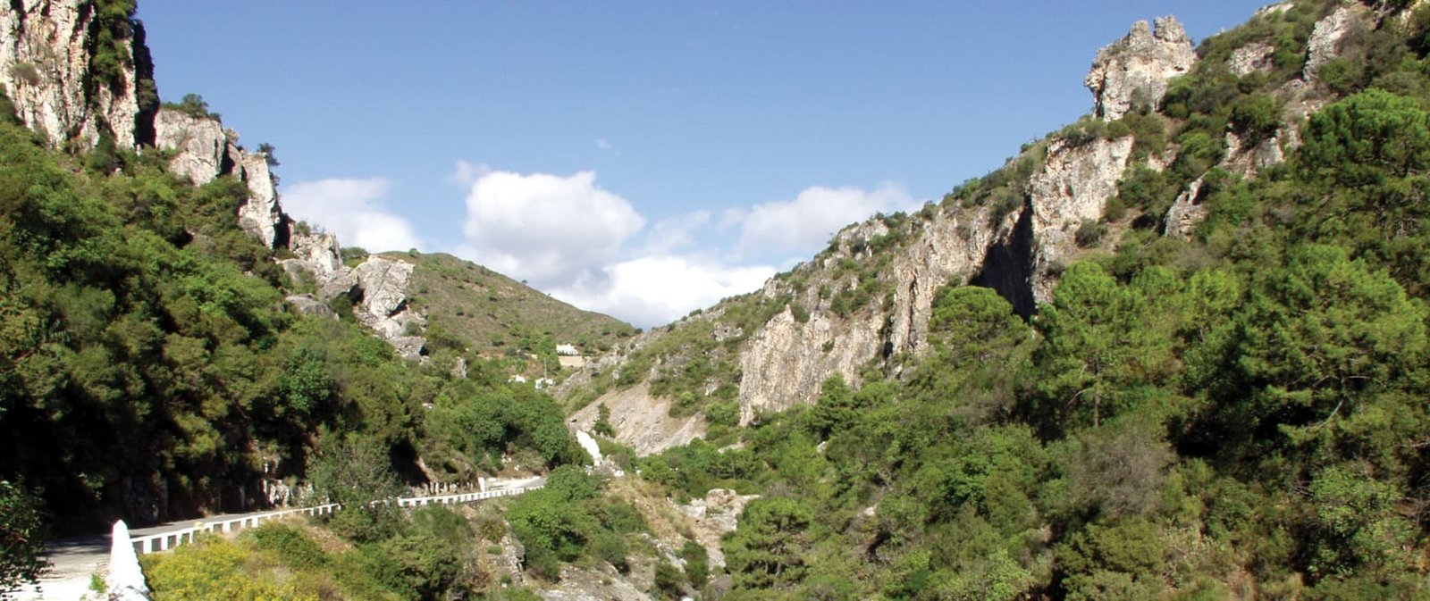 Benahavis Valley - La Zagaleta vs El Madroñal vs El Herrojo