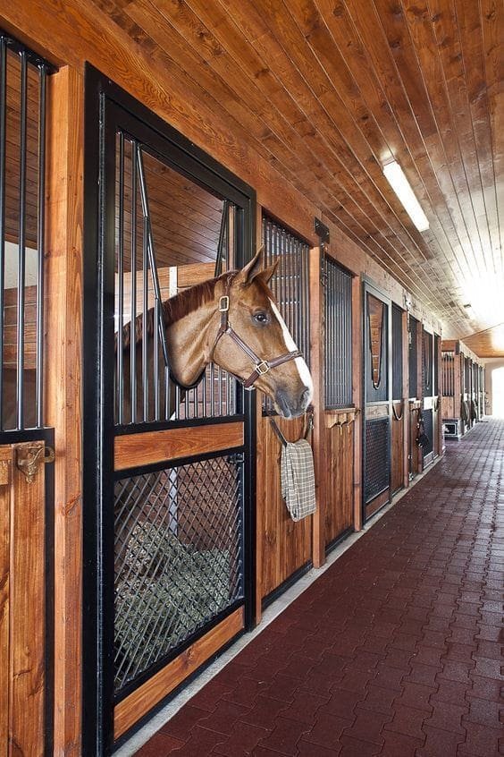Private stables and arena in La Zagaleta, Benahavís for equestrian property and the best hacking routes Benahavis
