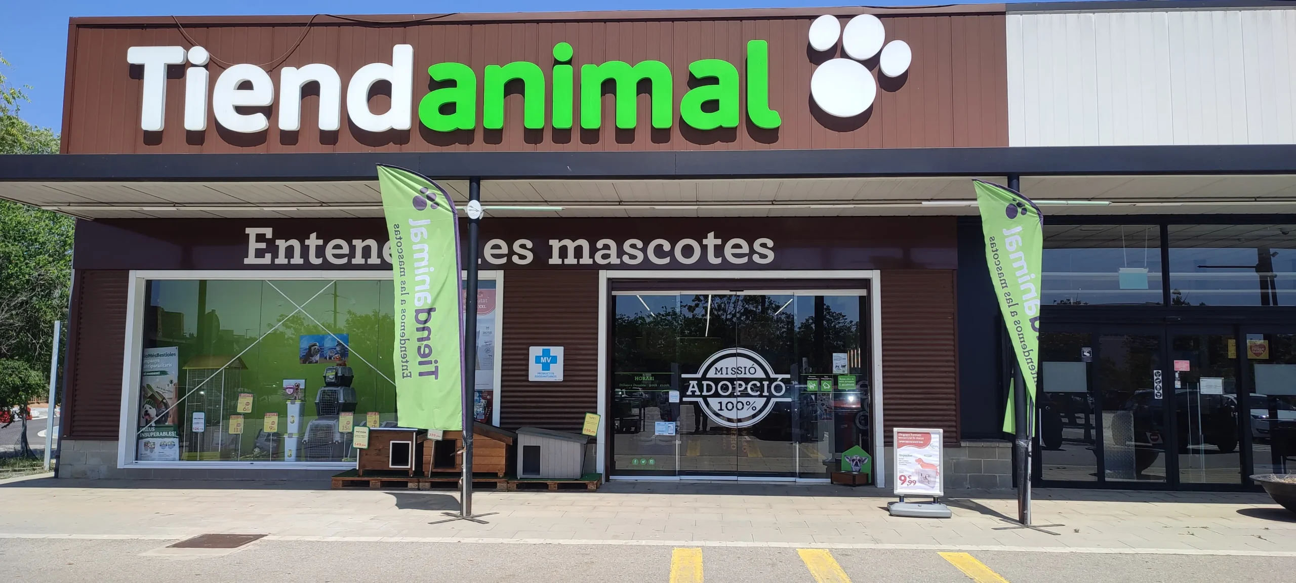 Buying a pet in Spain responsibly with pet supplies and animal welfare advice